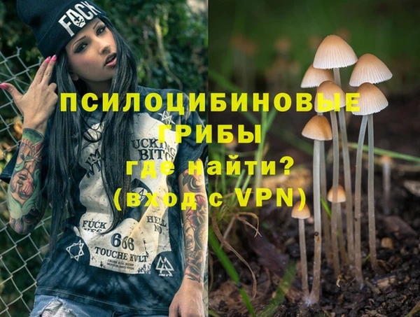 спайс Алексин